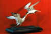 Sanibel Catch - Royal Terns - 1999