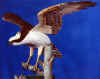 Osprey - Close-up - 2001