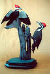 Pileated Woodpecker - 2001