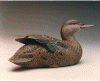 Bluewinged Teal Drake - 1989